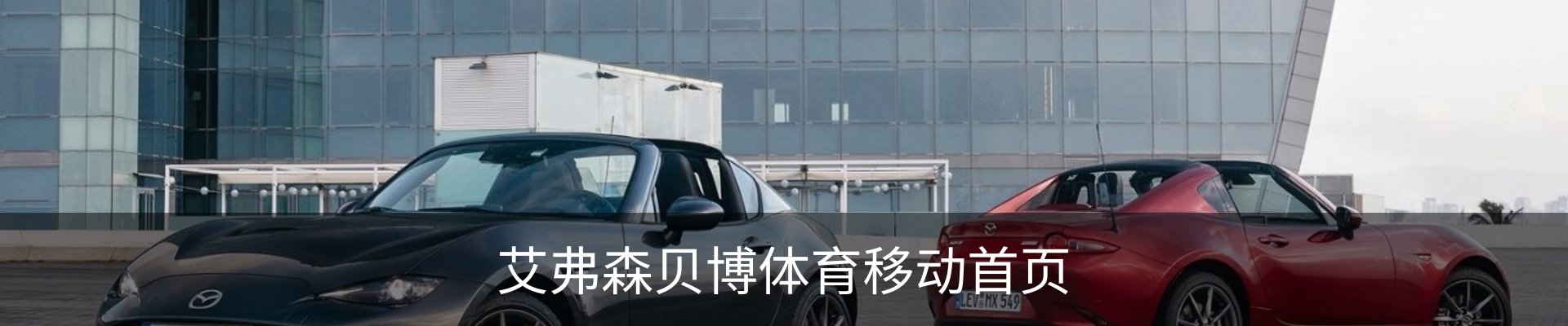 艾弗森贝博体育移动首页 - 体育教育安全登录下载